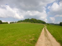 Odenwald Foto: Höhenweg zur Tromm